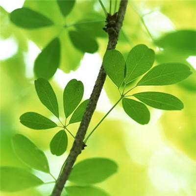 无尽的拉格朗日一号玩家游戏下载