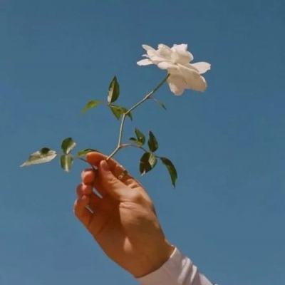 数码宝贝究极进化内购破解版下载